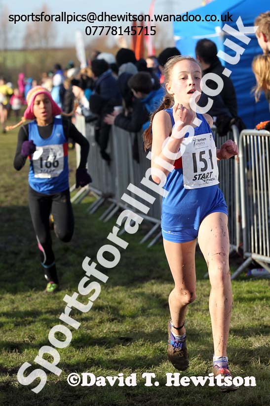 Girls under-13s Northern Cross Country  Championships, Pontefract. Photo: David T. Hewitson/Sports for All Pics